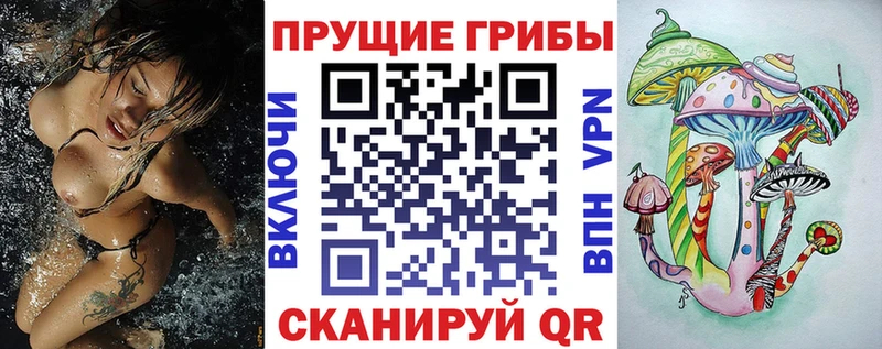 Купить закладки  Новомичуринск  Галлюциногенные грибы прущие грибы 